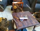 Three monkeys - Instead of guests, plush figures sit at tables i