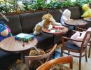 Instead of guests, plush figures sit at tables in the cafe durin