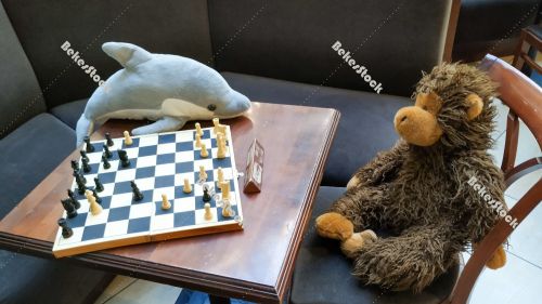 Dolphin and monkey - Instead of guests, plush figures sit at tab Dolphin and monkey - Instead of guests, plush figures sit at tab