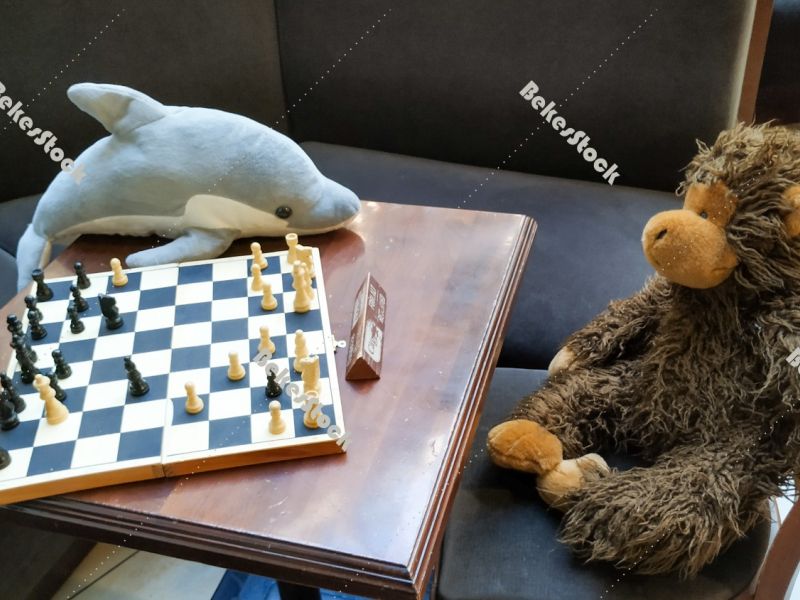 Dolphin and monkey - Instead of guests, plush figures sit at tab