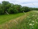 Floodplain forest along the Kettos-Koros river - spring in Hunga