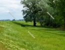 Floodplain forest along the Kettos-Koros river - spring in Hunga