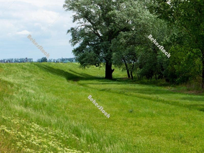 Floodplain forest along the Kettos-Koros river - spring in Hunga Floodplain forest along the Kettos-Koros river - spring in Hunga