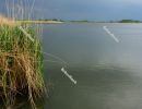 Fishpond, Biharugra - May 2020