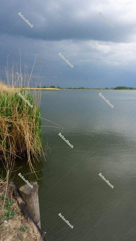 Fishpond, Biharugra - May 2020 Fishpond, Biharugra - May 2020