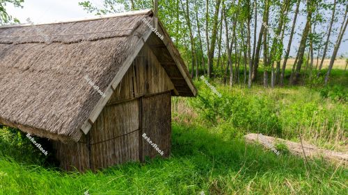 Old thatched hut in Biharugra next to the fishpond - May 2020 Old thatched hut in Biharugra next to the fishpond - May 2020