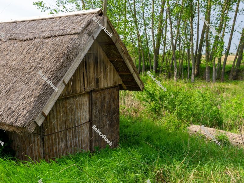 Old thatched hut in Biharugra next to the fishpond - May 2020 Old thatched hut in Biharugra next to the fishpond - May 2020