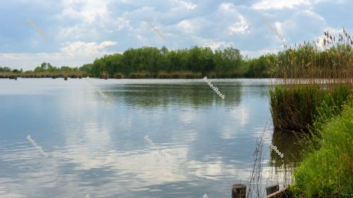 Fishpond, Biharugra - May 2020 Fishpond, Biharugra - May 2020
