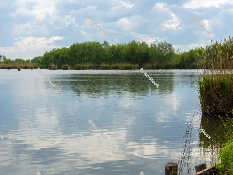 Fishpond, Biharugra - May 2020 Fishpond, Biharugra - May 2020