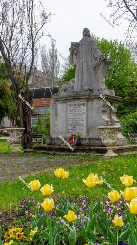 Statue of Tessedik (`Tessedik szobor`). Szarvas, Bekes County, H Statue of Tessedik (`Tessedik szobor`). Szarvas, Bekes County, H