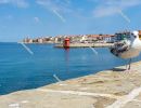 Young seagull stands on a stone wall with the city of Piran in t