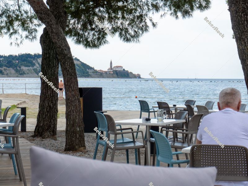 View of Piran from Strunjan, Piran, Obalno-kraska, Slovenia, Jun View of Piran from Strunjan, Piran, Obalno-kraska, Slovenia, Jun