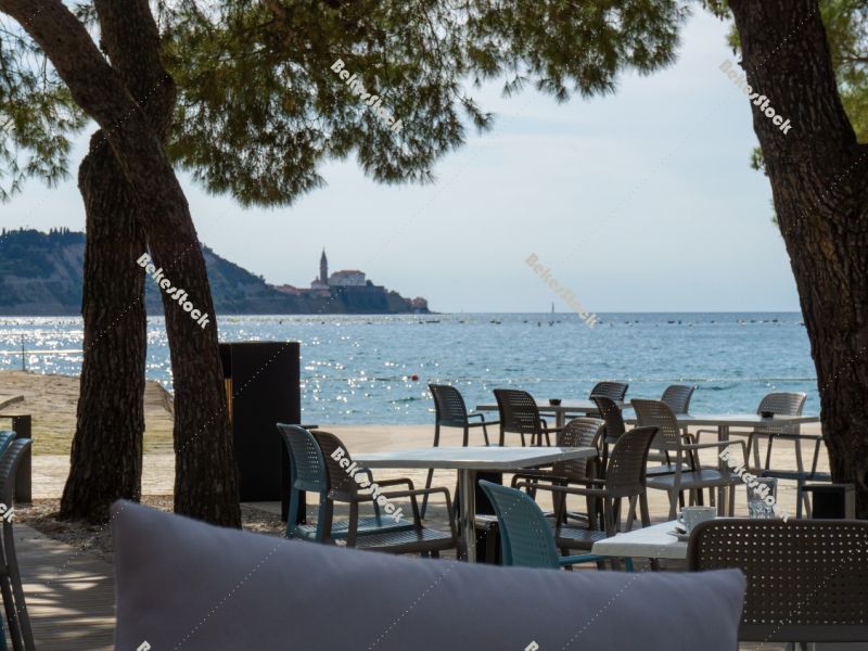 View of Piran from Strunjan, Piran, Obalno-kraska, Slovenia, Jun View of Piran from Strunjan, Piran, Obalno-kraska, Slovenia, Jun