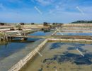 Salt pan, saltworks `soline` in Sečovlje - Sicciole, Portoroz, 