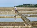Salt workers, salt minerin salt pan, saltworks `soline` in Sečo