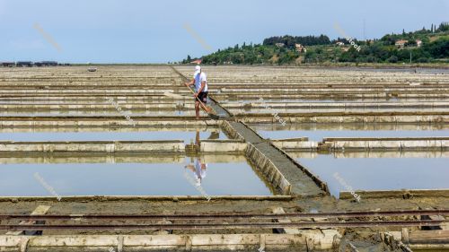 Salt workers, salt minerin salt pan, saltworks `soline` in Sečo Salt workers, salt minerin salt pan, saltworks `soline` in Sečo