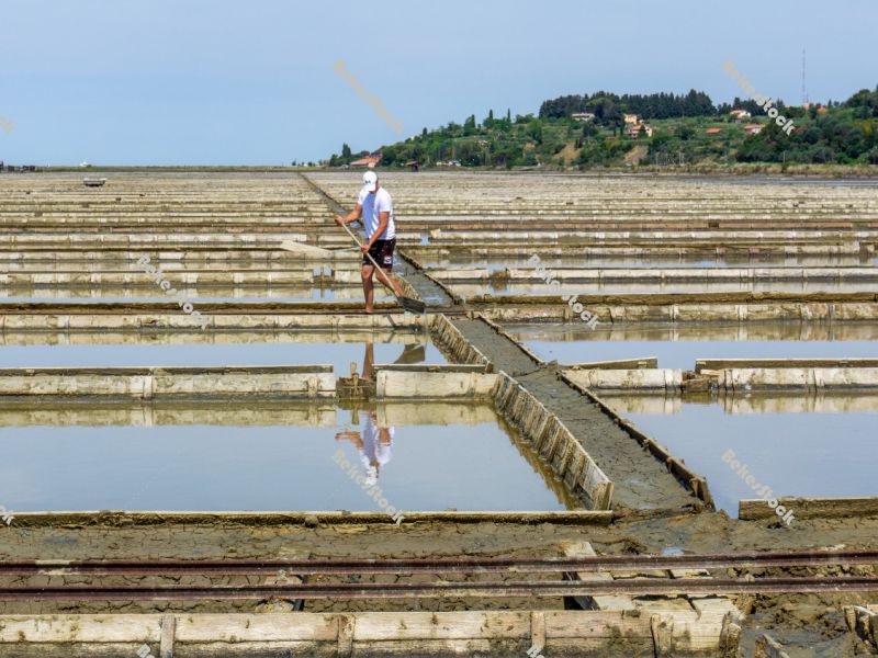 Salt workers, salt minerin salt pan, saltworks `soline` in Sečo Salt workers, salt minerin salt pan, saltworks `soline` in Sečo