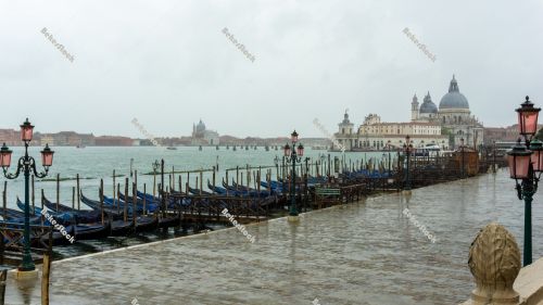 Empty gondolas moored, without tourists in Venice during the cor Empty gondolas moored, without tourists in Venice during the cor