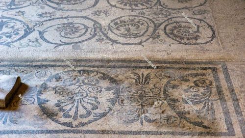 Mosaic decoration in the Suburban Baths in Pompeii. Pompei, Camp Mosaic decoration in the Suburban Baths in Pompeii. Pompei, Camp