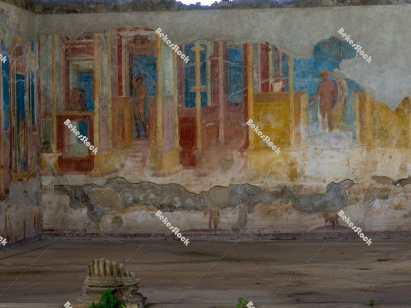 GYMNASIUM OF THE IUVENES. The entrance of the Gymnasium is locat GYMNASIUM OF THE IUVENES. The entrance of the Gymnasium is locat