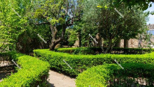 Botanical Garden (`Orto Botanico`) in Pompeii. Pompei, Campania, Botanical Garden (`Orto Botanico`) in Pompeii. Pompei, Campania,