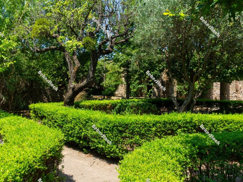 Botanical Garden (`Orto Botanico`) in Pompeii. Pompei, Campania, Botanical Garden (`Orto Botanico`) in Pompeii. Pompei, Campania,