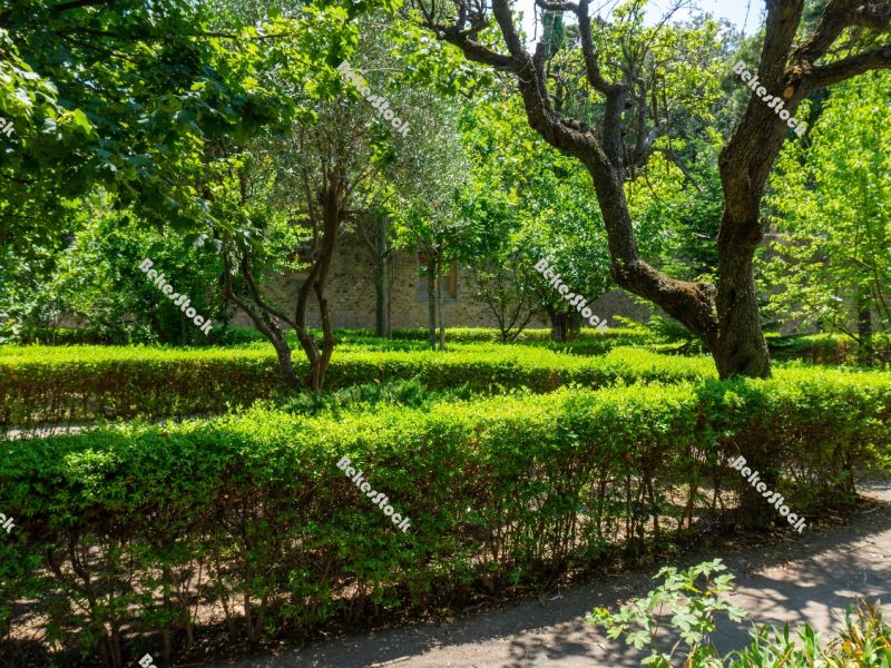 Botanical Garden (`Orto Botanico`) in Pompeii. Pompei, Campania, Botanical Garden (`Orto Botanico`) in Pompeii. Pompei, Campania,