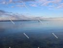 Buoy on the Adriatic coast, Zadar, December 2019