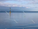 Birds rest on the respective buoy on the Adriatic coast, Zadar, December 2019