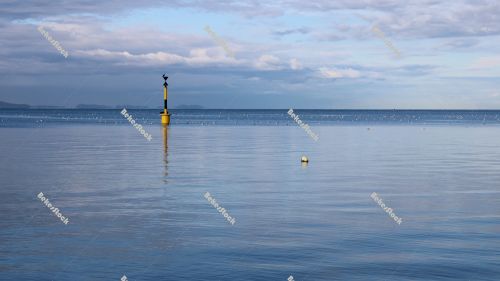 Birds rest on the respective buoy on the Adriatic coast, Zadar, December 2019 Birds rest on the respective buoy on the Adriatic coast, Zadar, December 2019