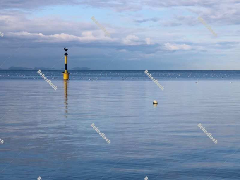 Birds rest on the respective buoy on the Adriatic coast, Zadar, December 2019 Birds rest on the respective buoy on the Adriatic coast, Zadar, December 2019