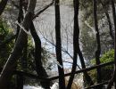 Forest in the morning mist at the `Skradinski Buk` waterfall - Krka National Park, Lozovac, Croatia, December 2019