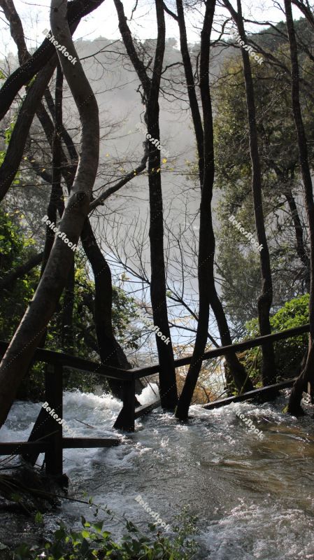 Forest in the morning mist at the `Skradinski Buk` waterfall - Krka National Park, Lozovac, Croatia, December 2019 Forest in the morning mist at the `Skradinski Buk` waterfall - Krka National Park, Lozovac, Croatia, December 2019