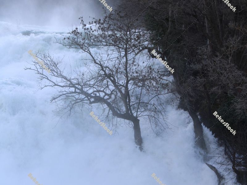 The power of water. Lonely tree in the pouring water at the `Skradinski Buk` waterfall - Krka National Park, Lozovac, Croatia The power of water. Lonely tree in the pouring water at the `Skradinski Buk` waterfall - Krka National Park, Lozovac, Croatia