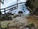 The power of water . Trees in the pouring water at the `Skradinski Buk` waterfall - Krka National Park, Lozovac, Croatia