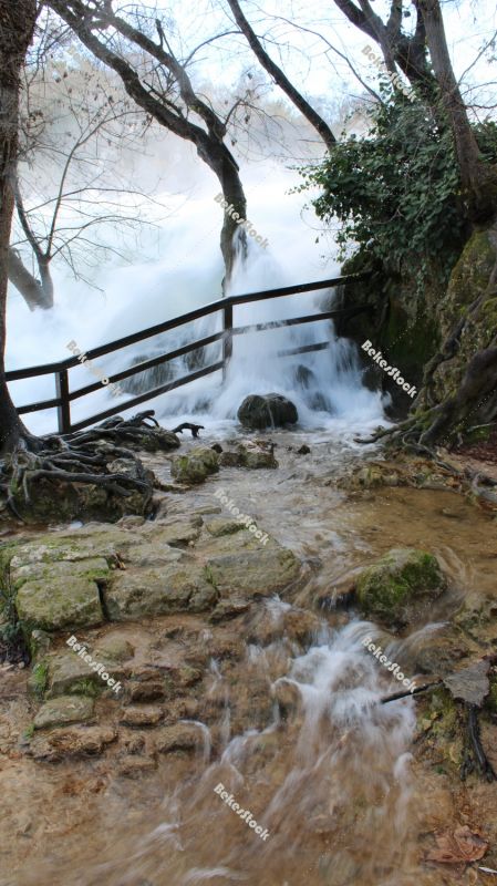 The power of water . Trees in the pouring water at the `Skradinski Buk` waterfall - Krka National Park, Lozovac, Croatia The power of water . Trees in the pouring water at the `Skradinski Buk` waterfall - Krka National Park, Lozovac, Croatia