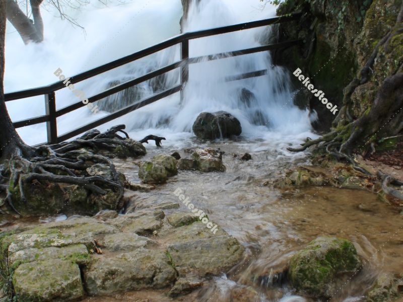 The power of water . Trees in the pouring water at the `Skradinski Buk` waterfall - Krka National Park, Lozovac, Croatia The power of water . Trees in the pouring water at the `Skradinski Buk` waterfall - Krka National Park, Lozovac, Croatia