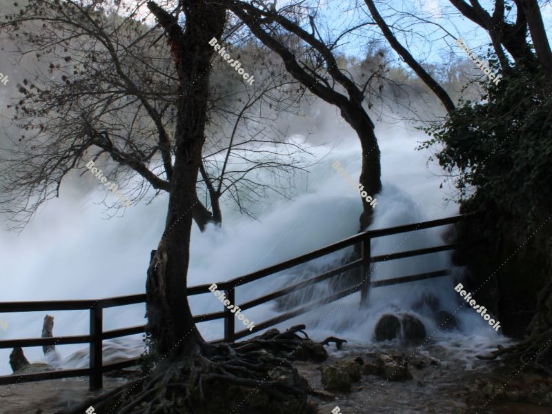 The power of water . Trees in the pouring water at the `Skradinski Buk` waterfall - Krka National Park, Lozovac, Croatia The power of water . Trees in the pouring water at the `Skradinski Buk` waterfall - Krka National Park, Lozovac, Croatia