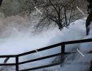 The power of water. Trees in the pouring water at the `Skradinski Buk` waterfall - Krka National Park, Lozovac, Croatia