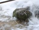 Stone struggles with the elements in the waterfall, `Skradinski Buk` waterfall  - Krka National Park, Lozovac, Croatia